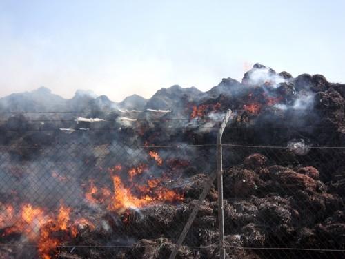Los Bomberos del Poniente mantienen un dispositivo de dos camiones, una motobomba y cuatro efectivos para evitar que las llamas de Ejido Medio Ambiente se propaguen a invernaderos aledaños