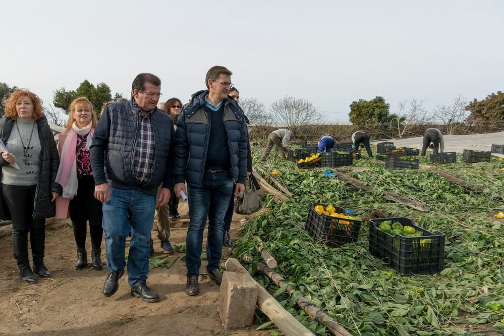 El PSOE ofrece su apoyo a los afectados por los tornados y confía en que puedan volver a producir cuanto antes