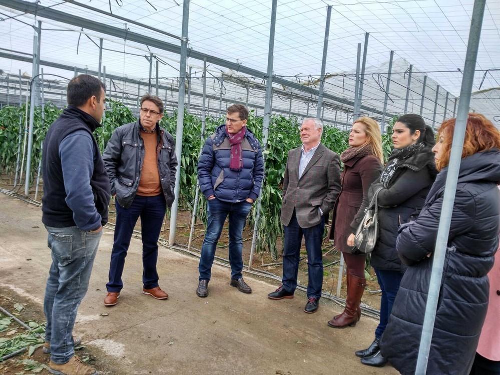 El PSOE registra una moción para que el Ayuntamiento apruebe ayudas a los agricultores afectados por el temporal