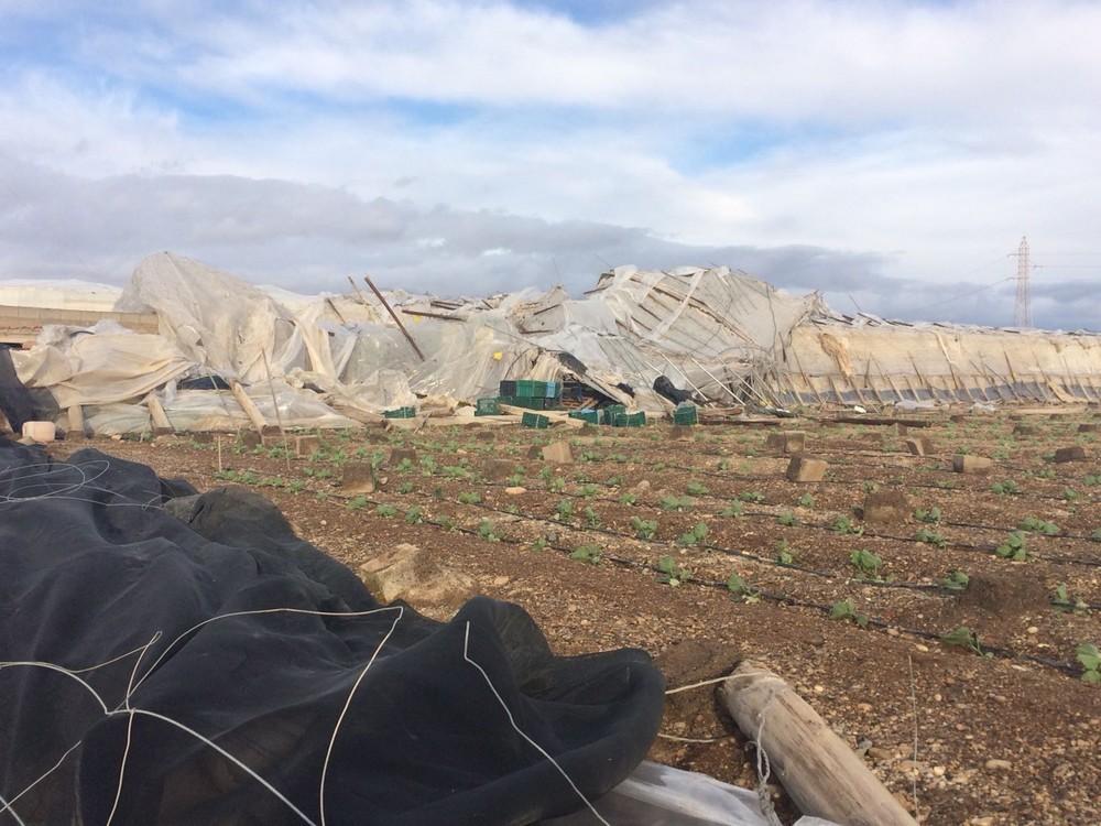 La Mojonera reclama que se incluya a sus agricultores afectados en las ayudas por los daños del temporal