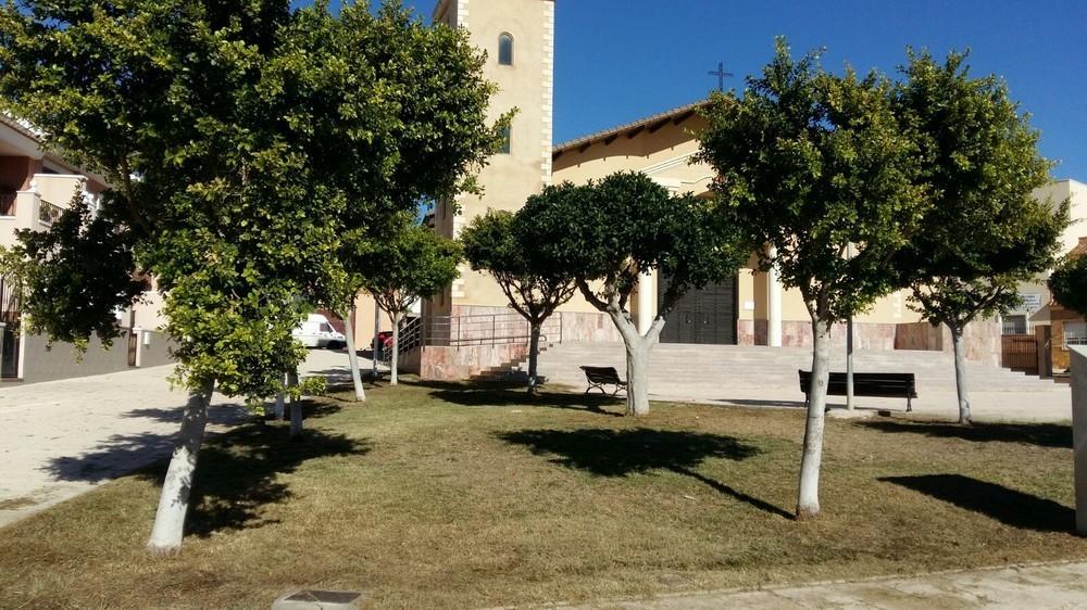 El edil de Medio Ambiente del Ayuntamiento de Adra valora el buen ritmo del Plan de Mejora de Jardines