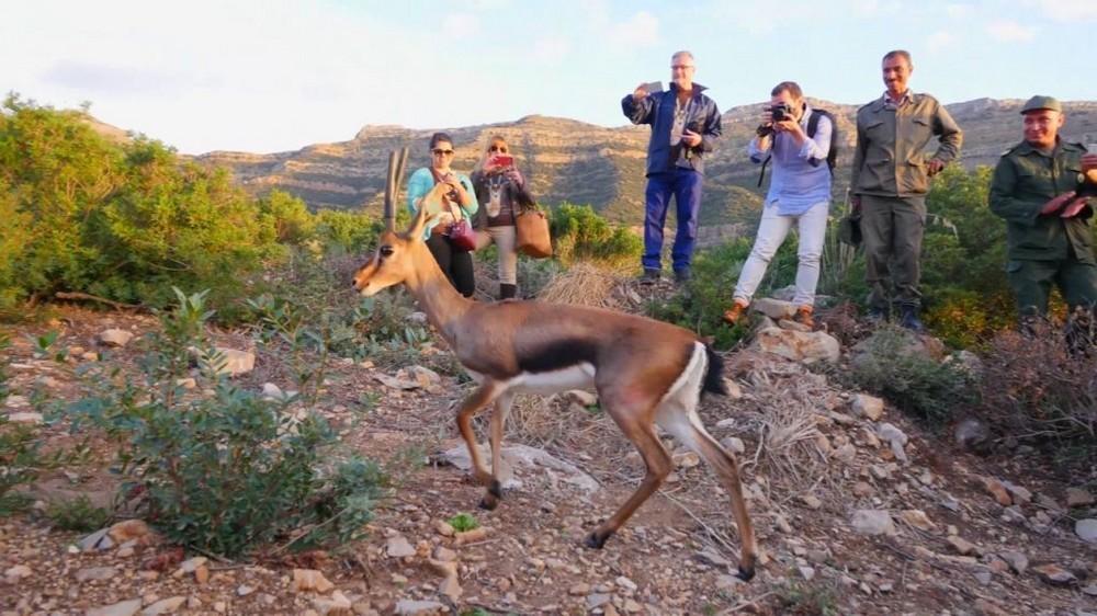 El documental 'Vuelta a casa' se proyectará a los alumnos de los dos IES y de la Escuela Agraria de Vícar