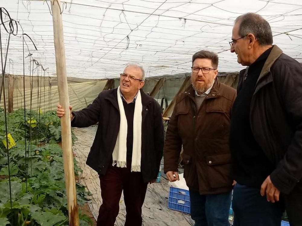 Antonio Bonilla califica de muy positivas las últimas medidas de la Junta de Andalucía relativas a ayudas para mejorar invernaderos