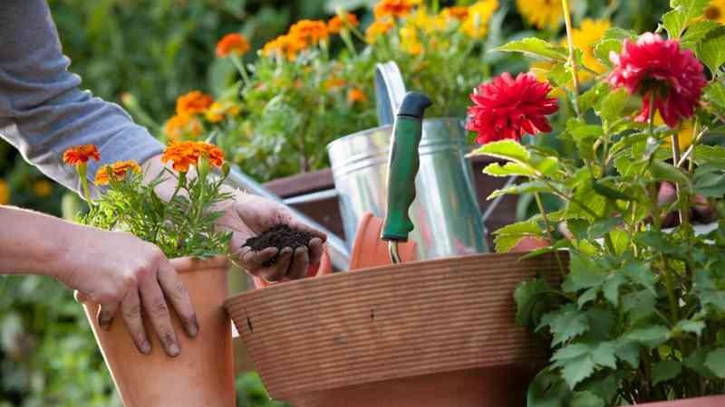 La Junta apoya con 232.000 euros una escuela taller en Roquetas de Mar sobre viverismo y jardinería