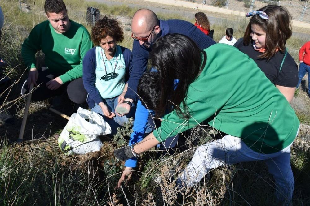 Alumnos de la Escuela Agraria Vícar y del CEIP Federico García Lorca llevan a cabo una nueva replantación de arbolado en la Sierra de Gádor