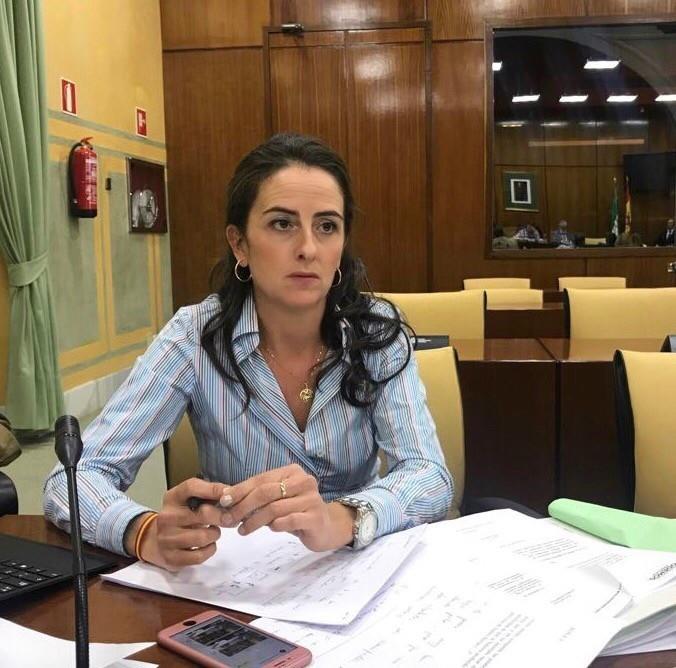El PP exige a la Junta que acometa de forma urgente las actuaciones prometidas en el CEIP San Roque de Felix