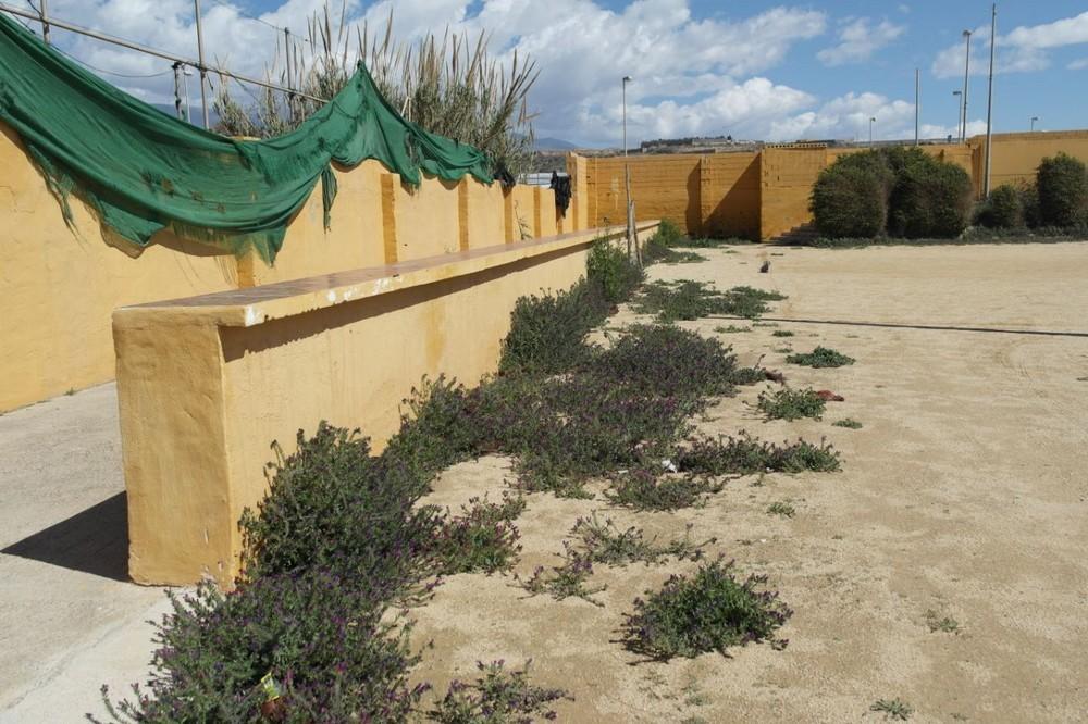 Cs El Ejido lamenta que el recinto ferial de Balerma se encuentre desamparado y con un aspecto “lamentable”