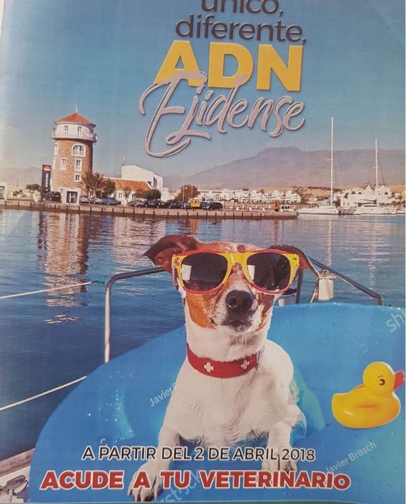 La empresa ‘ADN Canino’ trabaja con el único laboratorio acreditado por ENAC para realizar este tipo de análisis genéticos