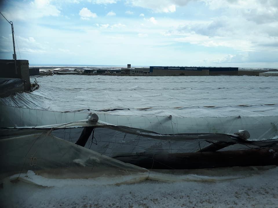 Cajamar crea una línea especial para atender los daños de la granizada en La Mojonera, Vícar y El Ejido