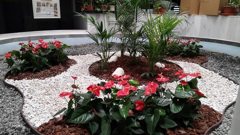 El Ejido refuerza las tareas de mantenimiento en algunos mercados de abastos