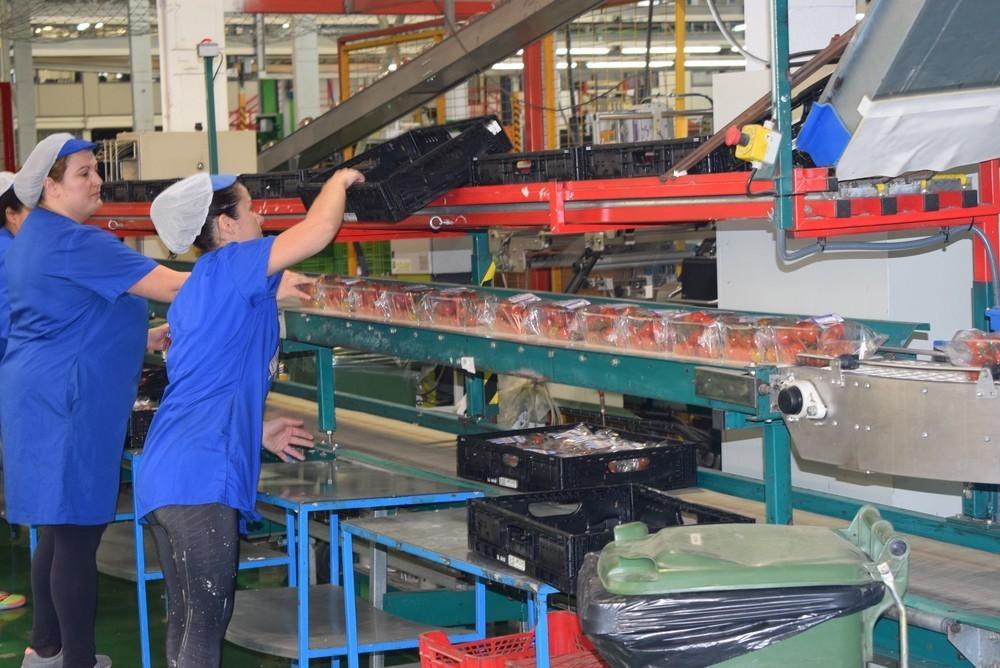 El Ayuntamiento de Vícar e IAM rendirán homenaje a las muejeres en la agricultura almeriense