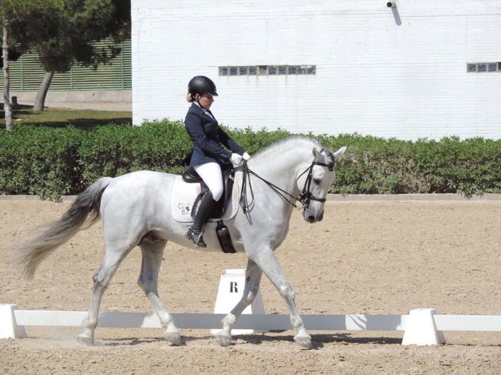 Club Hípico Santa María del Águila logra once pódiums en el concurso de la Liga Provincial