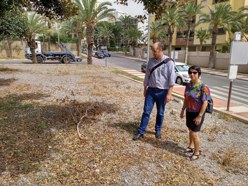 IU quiere mejorar el mantenimiento de las zonas verdes de Roquetas con un Plan Municipal anual de control