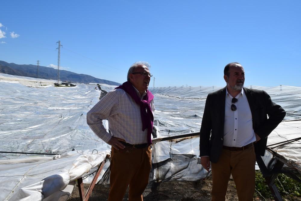 Vícar pide una línea de investigación sobre el plástico agrícola que impida colapsar las estructuras en caso de sobrecarga