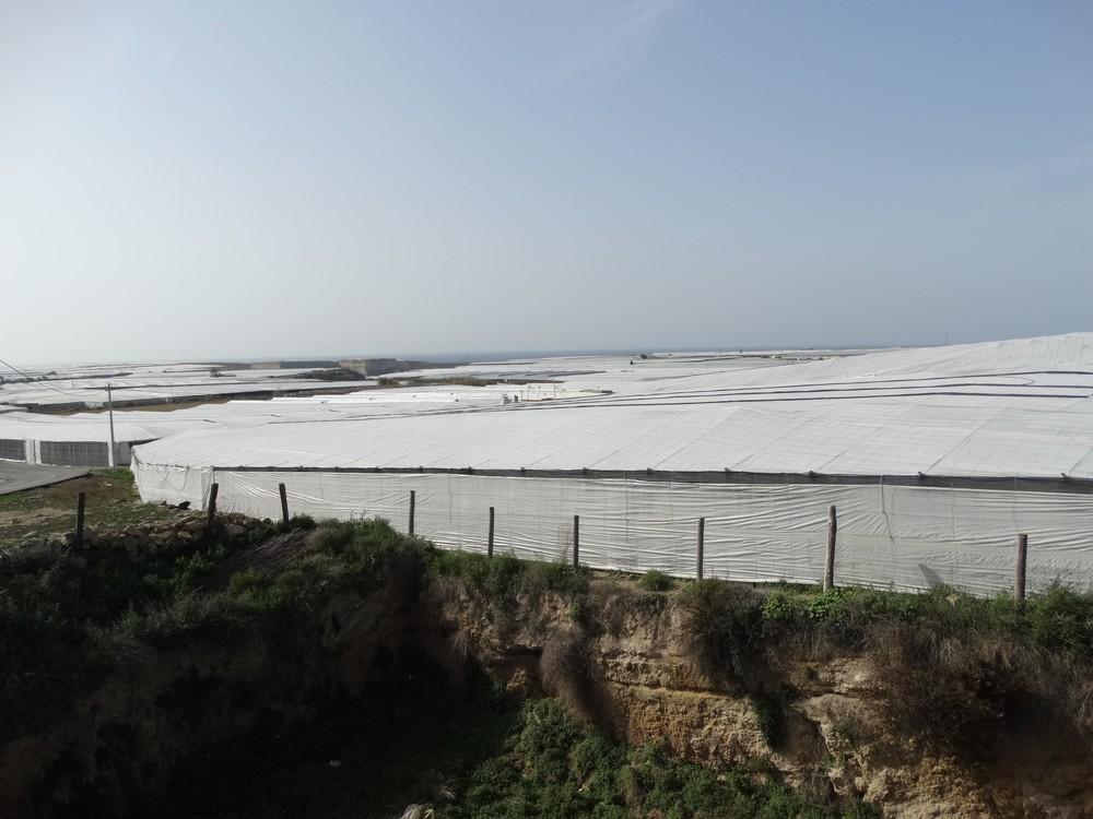 El Ayuntamiento de El Ejido recuerda la obligatoriedad de dotar a las fincas agrícolas de  sistema de recogida de pluviales