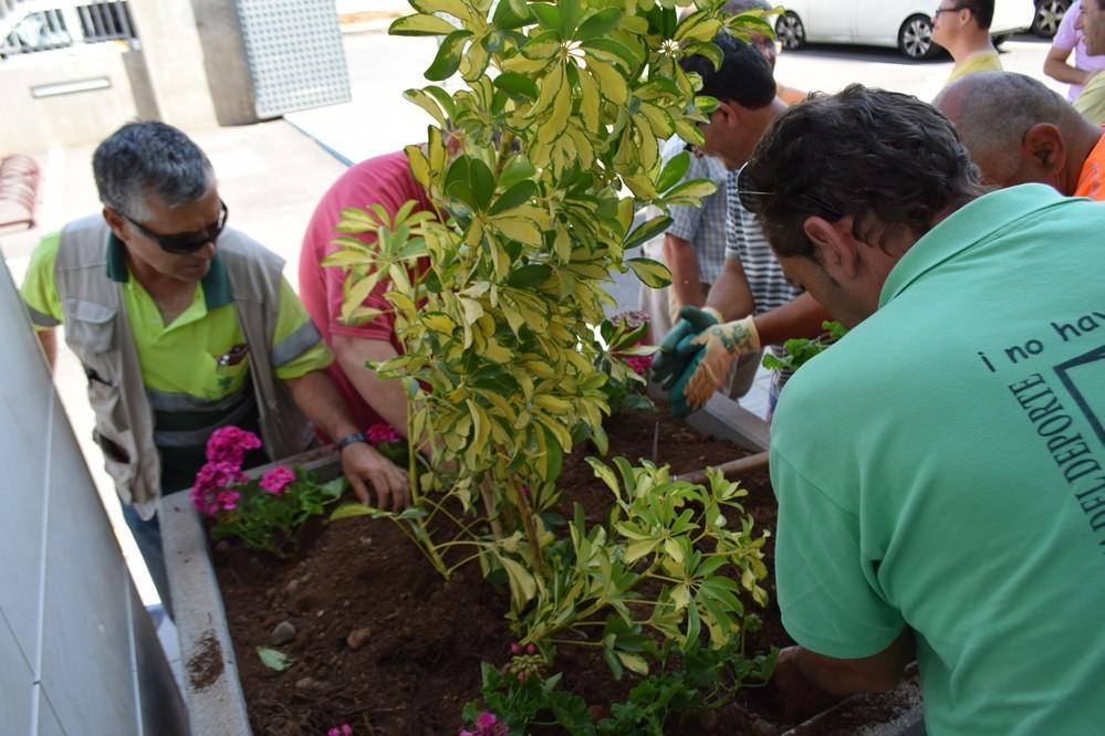 Vícar se acoge al Plan Savia 2018-2019 de la Diputación para continuar mejorando sus zonas verdes