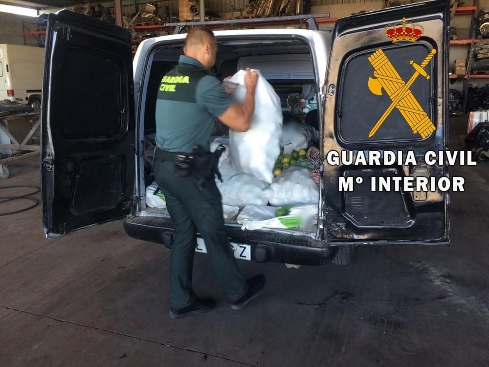 La Guardia Civil detiene a 11 personas y desmantela una organización criminal que hurtaba productos agrícolas y los “colocaba” en almacenes, mercadillos y  particulares