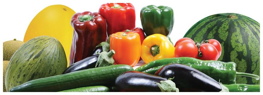 Adra respalda la candidatura de Almería como Capital Gastronómica 2019