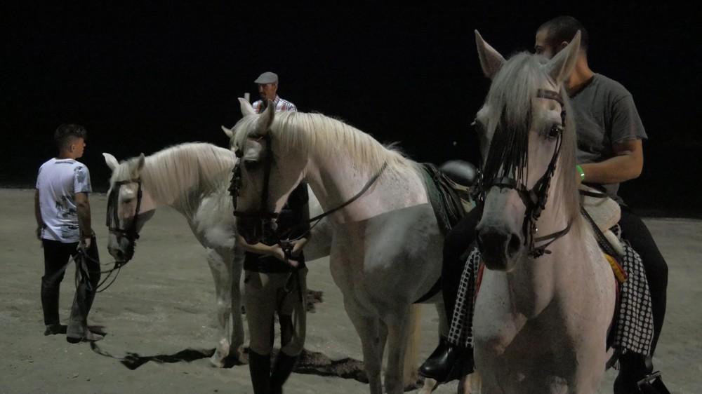 La Playa de San Nicolás acoge la XIII Carrera Nocturna de caballos