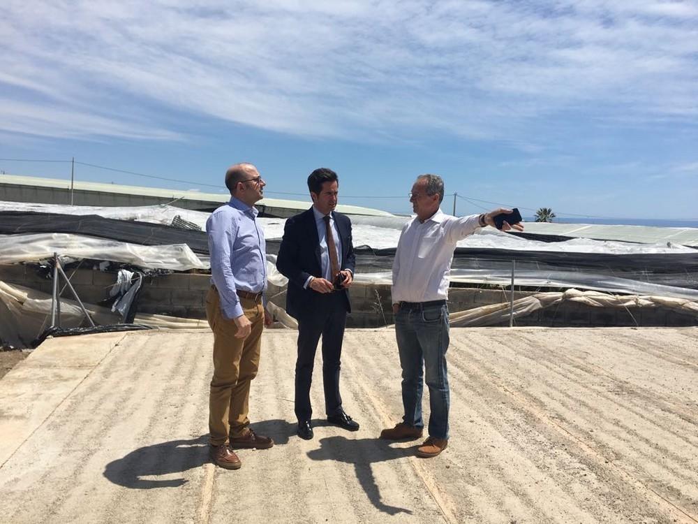 El gobierno local llevará a Pleno la subvención del IBI Rústico y del Impuesto sobre Construcciones y Obras de Invernaderos a los afectados por el tornado y el granizo sufridos este año