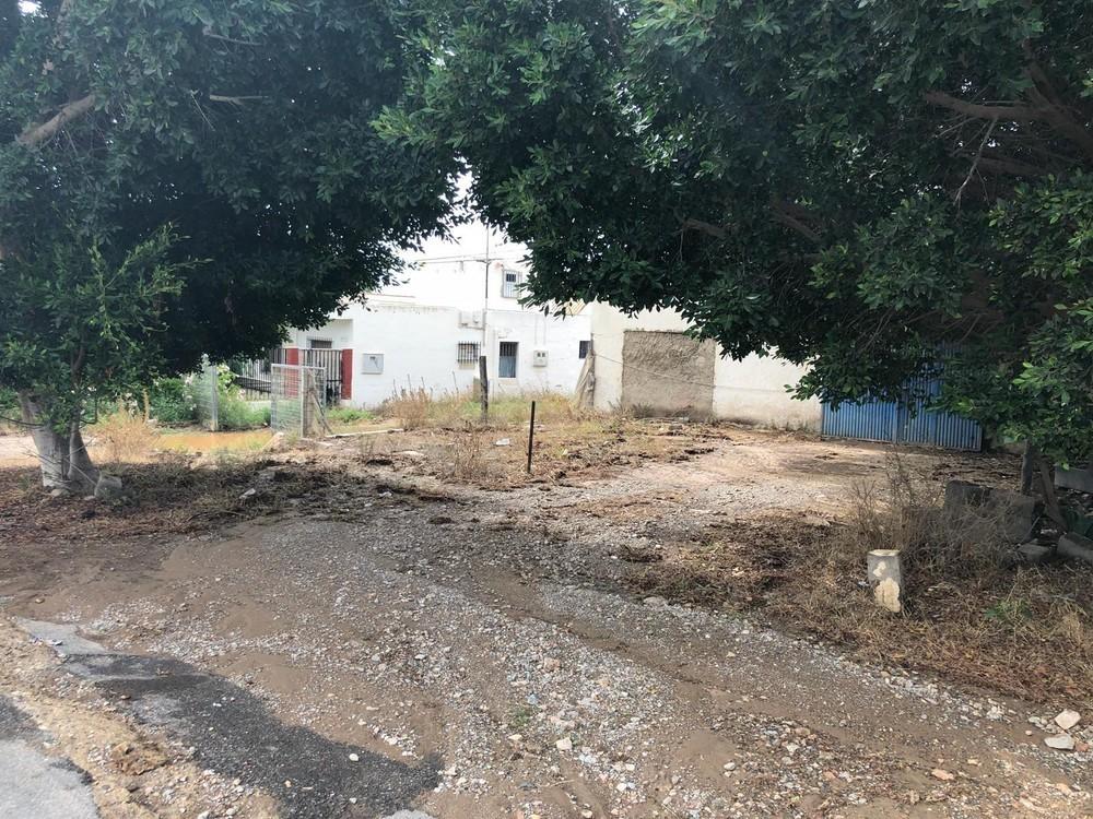 25 años de las fiestas más tristes de Dalías