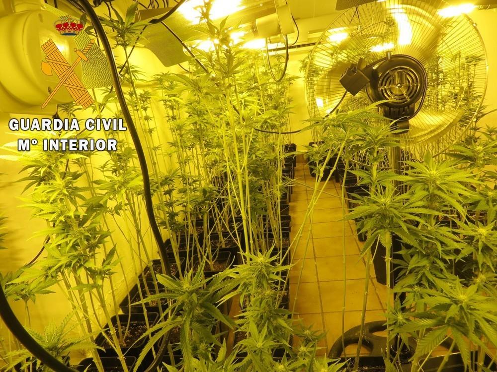 La Guardia Civil detiene a cuatro personas y desmantela un grupo criminal dedicado al cultivo de marihuana ‘in door’ en Roquetas de Mar