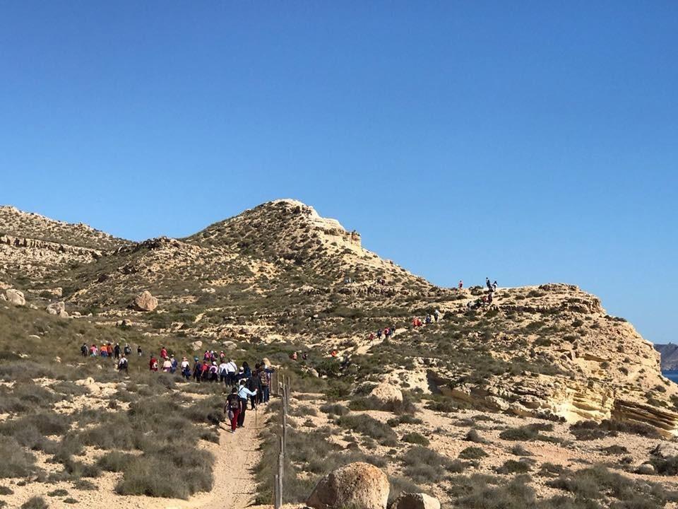 La XIII Olimpiada de Mayores de Vícar ya calienta motores para ocho meses de actividad
