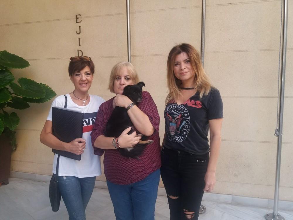 La edil Eva Liria se reúne con la asociación Sentido Animal y apoya la gestión ética de las mascotas