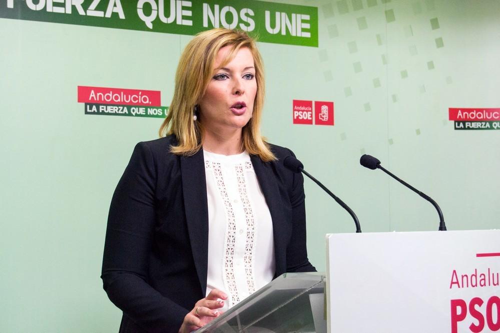 Teresa Piqueras: ‘El PSOE no va a ser cómplice del caos y pésima gestión del equipo de Gobierno del PP’