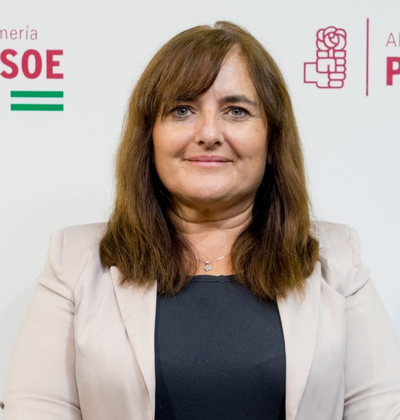 El PSOE de Berja impulsa un Plan de Dinamización del Mercado de Abastos del municipio