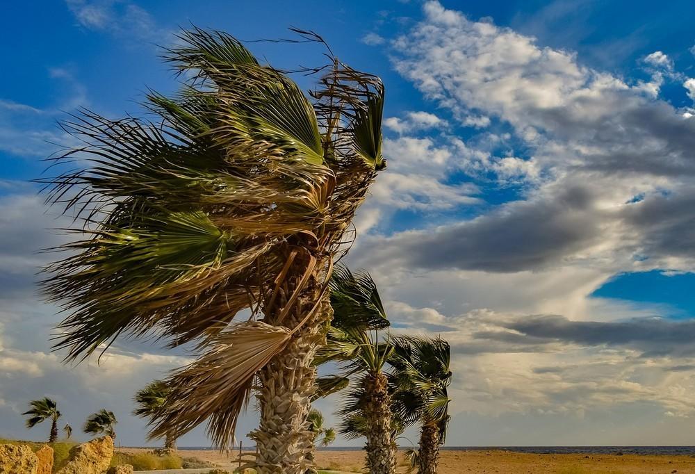 Decretan la alerta naranja por fuertes vientos en la costa de Almería para este jueves