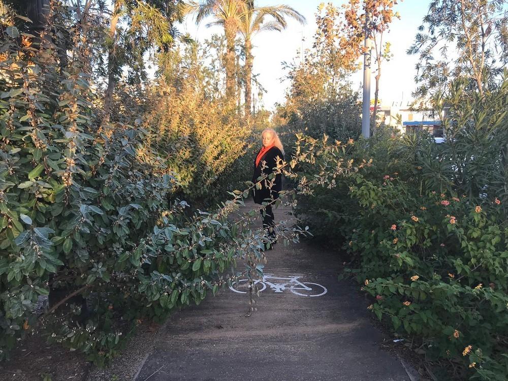 Cs Vícar denuncia que el Bulevar lleve 12 años inacabado