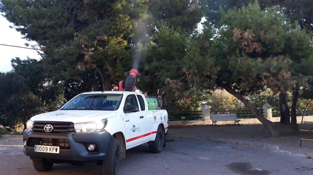 Adra avanza en los trabajos de prevención de la procesionaria en centros escolares y zonas verdes