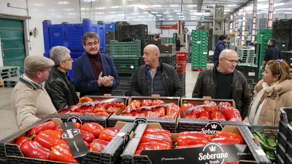 Manuel Cortés reitera su apoyo al sector agrícola como “motor de empleo y crecimiento”