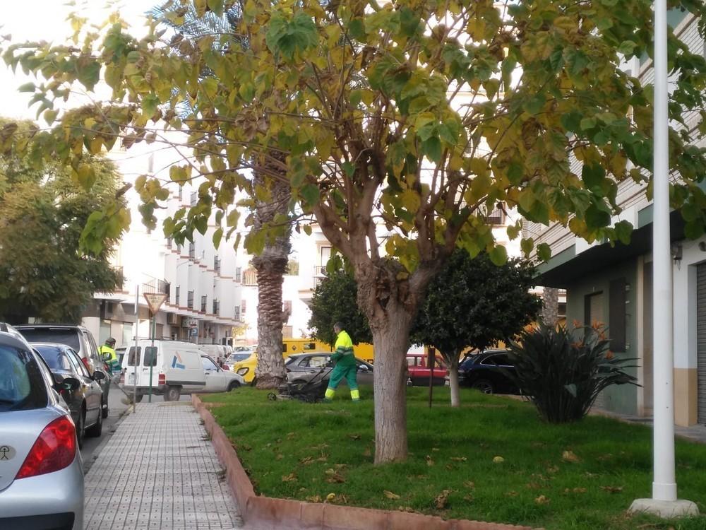 Los trabajos del II Plan de Mejora de Jardines siguen avanzando en la totalidad del municipio de Adra
