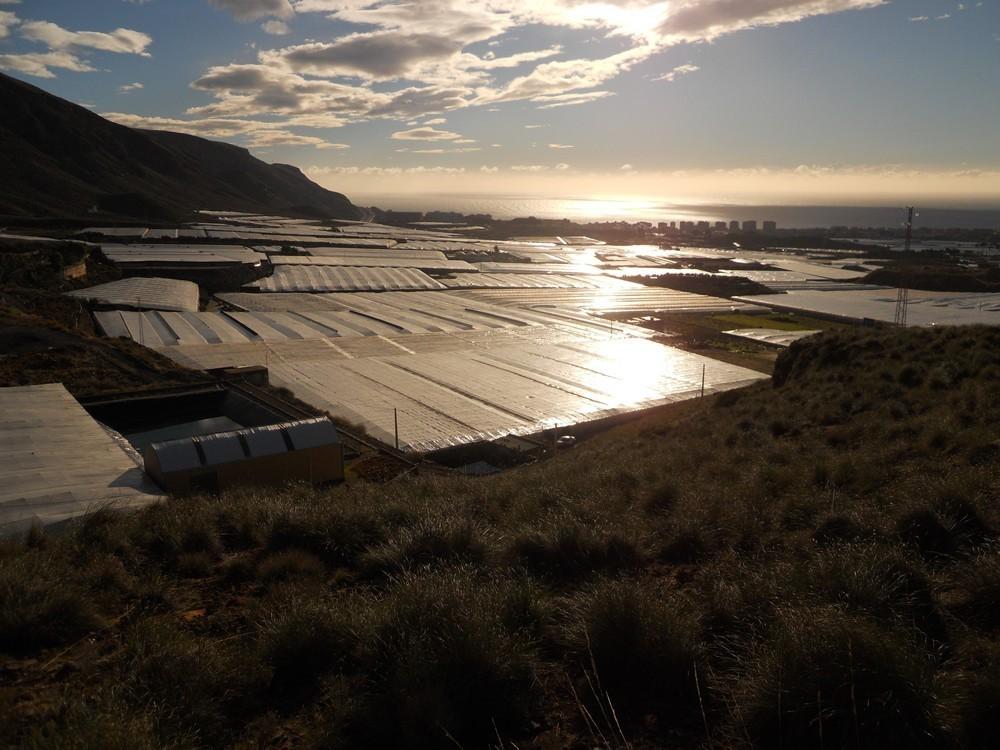 Consumomar celebra en Vícar sus XXXII Jornadas Técnicas Agrícolas