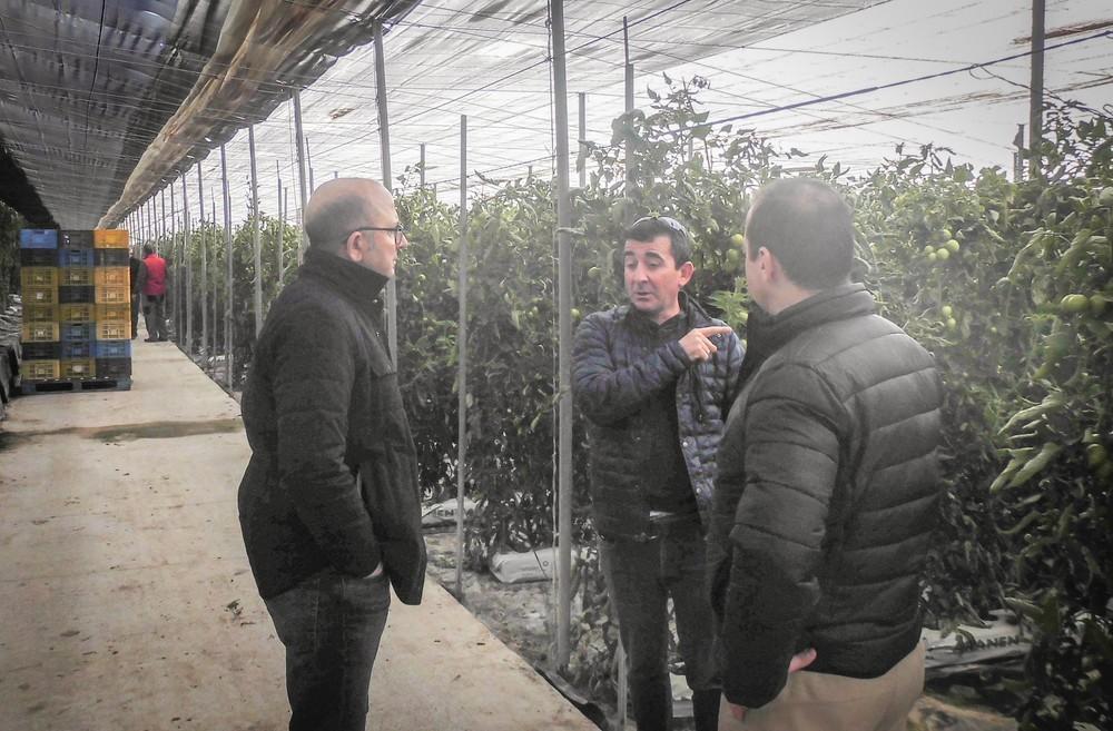 La plantación de ‘setos verdes’ en los invernaderos provocan una mejora agronómica en los cultivos y un entorno más limpio