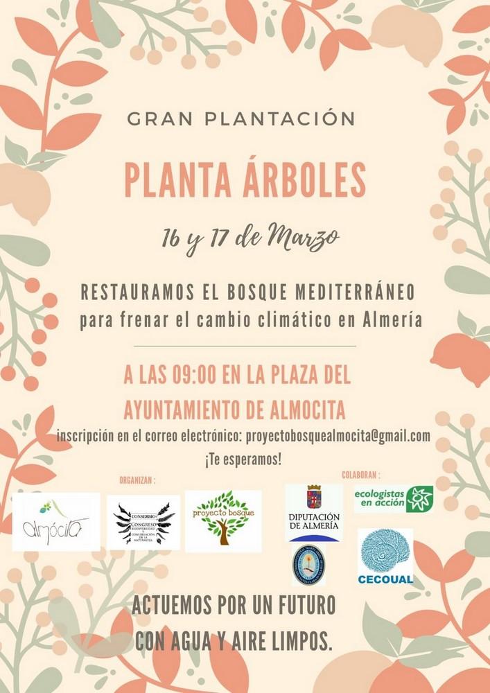 Convocan a una gran plantación de árboles para restaurar el bosque mediterráneo en Almócita