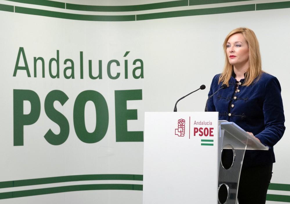 Piqueras: “El alcalde está en modo campaña nacional y se olvida por completo de los problemas de Adra”