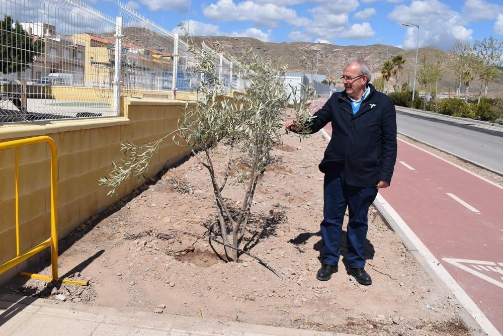 Unos 150 árboles se incorporan a las zonas verdes de los bulevares Ciudad de Vícar y de la Paz