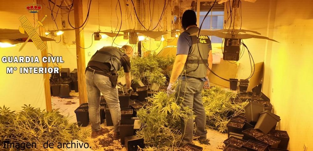 La Guardia Civil en dos operaciones distintas en Berja detiene a tres personas por cultivar Marihuana en sus domicilios