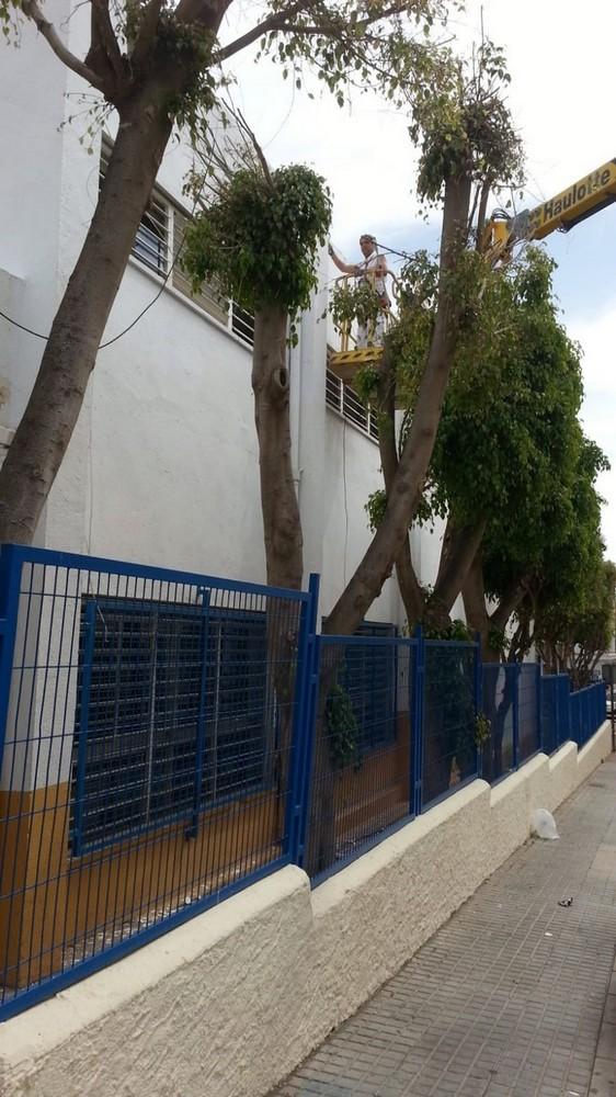 El Ayuntamiento de El Ejido refuerza los trabajos de mantenimiento en los centros educativos del municipio durante los meses de verano
