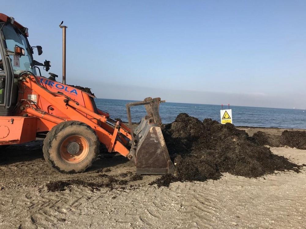 El Ayuntamiento mantiene activo desde el pasado lunes un dispositivo especial de limpieza de playas para la retirada de ‘algas’ que el temporal ha depositado en la orilla