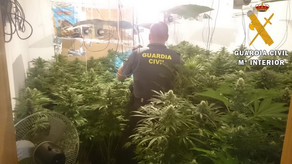 La Guardia Civil desmantela las plantaciones de marihuana de 6 viviendas de un mismo edificio en Roquetas de Mar