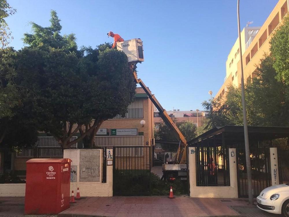 DUE acomete obras de mantenimiento y puesta a punto de los centros escolares de cara al comienzo del curso