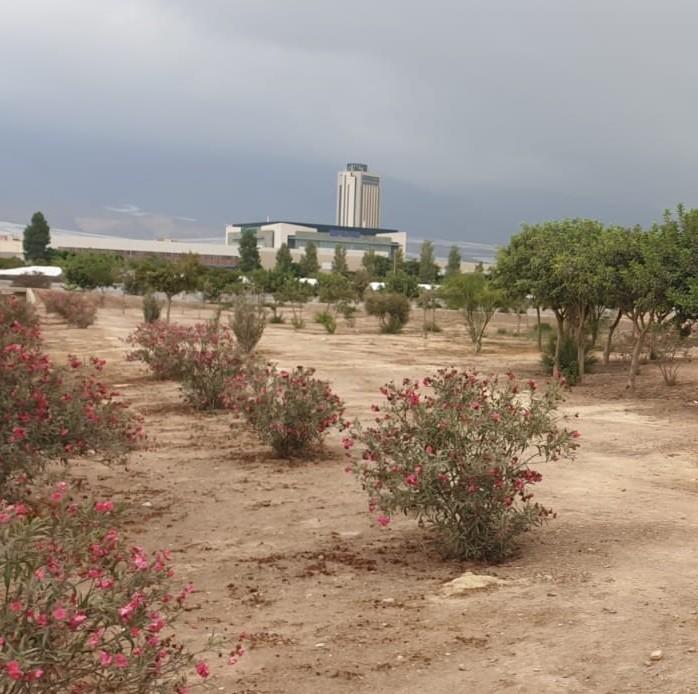 El Parque Forestal Cañada de Ugíjar continúa con su puesta a punto