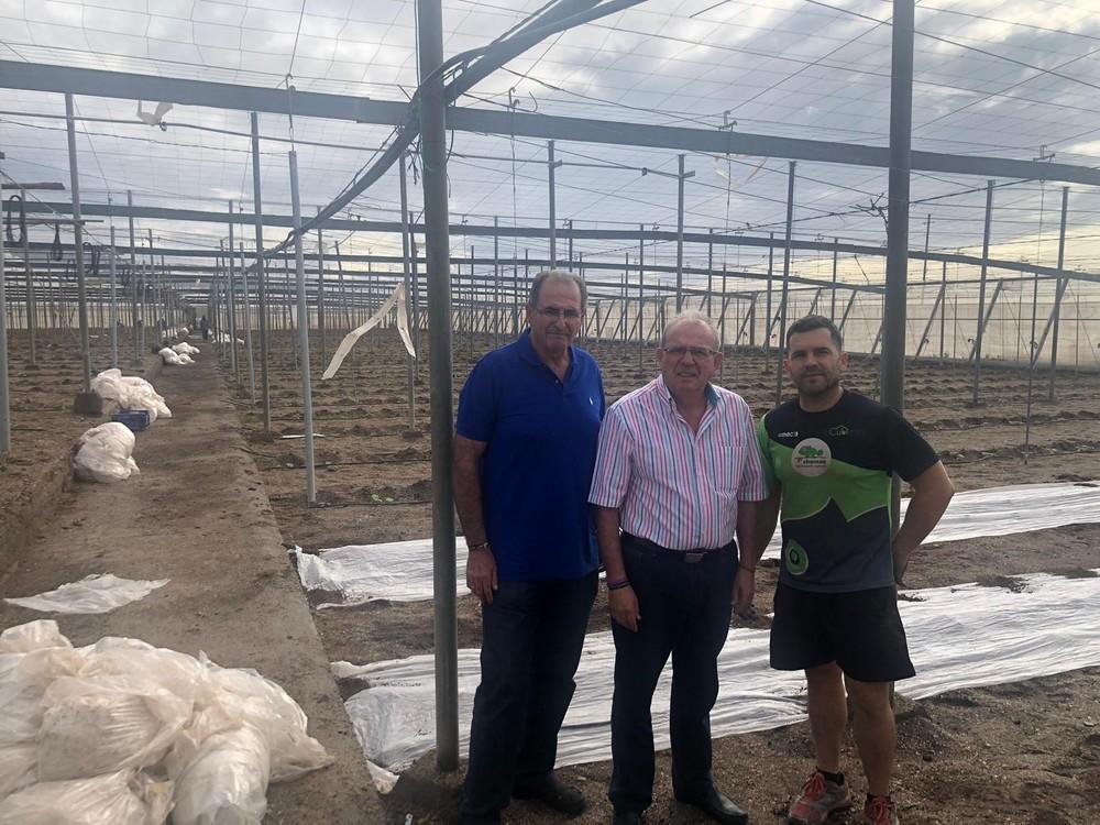 El alcalde de Vícar visita las explotaciones agrícolas dañadas por una tromba marina en Los Suizos y la Yegua Verde