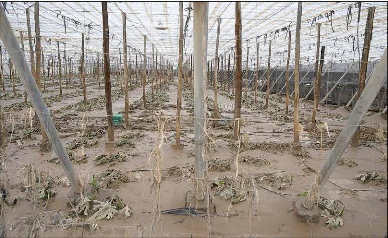 El Gobierno aprueba medidas urgentes para paliar los daños causados por los temporales y otras situaciones catastróficas