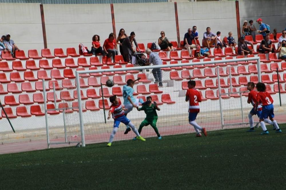 El Alevín de Segunda Andaluza, campeón del Torneo de Pinos Puente