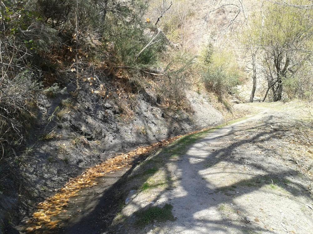 El programa ‘Senderismo en Familia’ de Berja viajará a la senda de las acequias de Mecina Bombarón